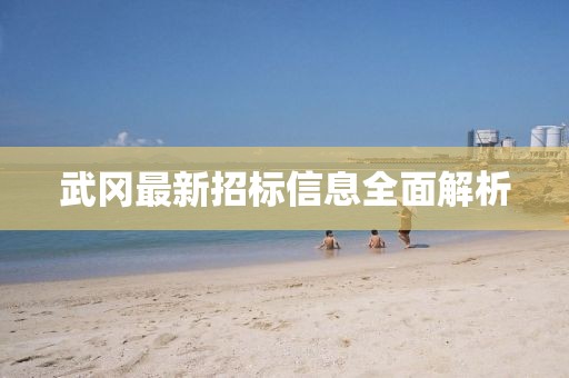 武冈最新招标信息全面解析