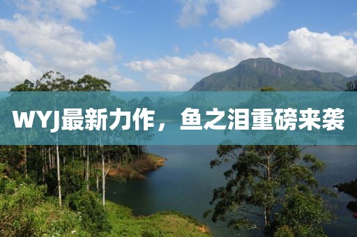 WYJ最新力作，鱼之泪重磅来袭