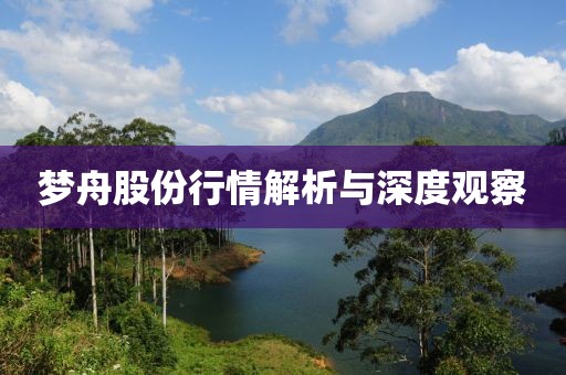 梦舟股份行情解析与深度观察