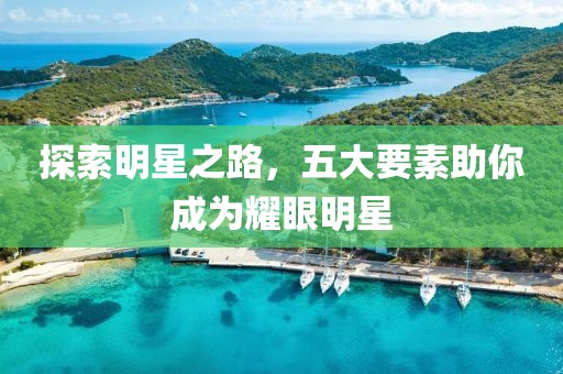 探索明星之路，五大要素助你成为耀眼明星