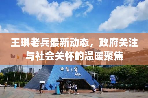 王琪老兵最新动态，政府关注与社会关怀的温暖聚焦