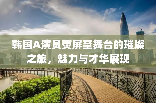 韩国A演员荧屏至舞台的璀璨之旅，魅力与才华展现