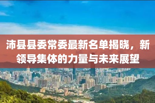 沛县县委常委最新名单揭晓，新领导集体的力量与未来展望
