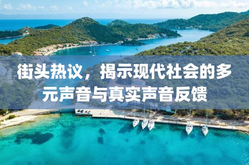 街头热议，揭示现代社会的多元声音与真实声音反馈