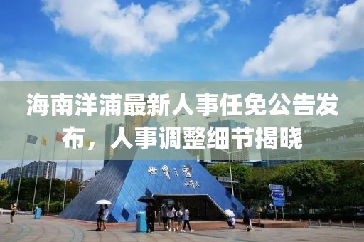 海南洋浦最新人事任免公告发布，人事调整细节揭晓