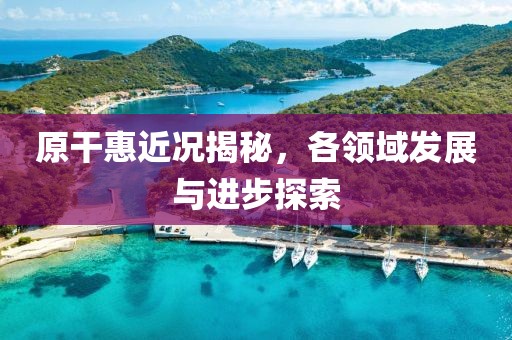 原干惠近况揭秘，各领域发展与进步探索
