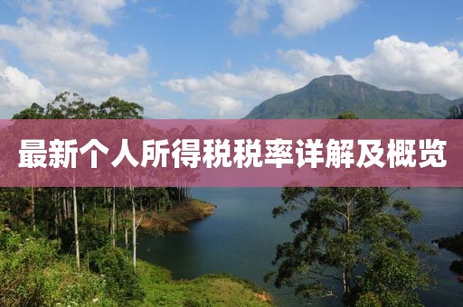 最新个人所得税税率详解及概览