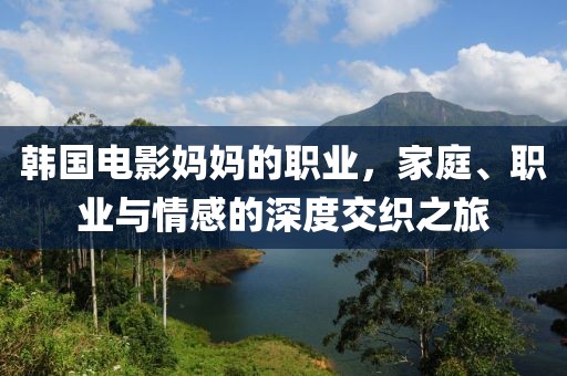 韩国电影妈妈的职业，家庭、职业与情感的深度交织之旅