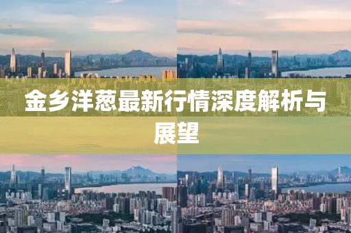 金乡洋葱最新行情深度解析与展望