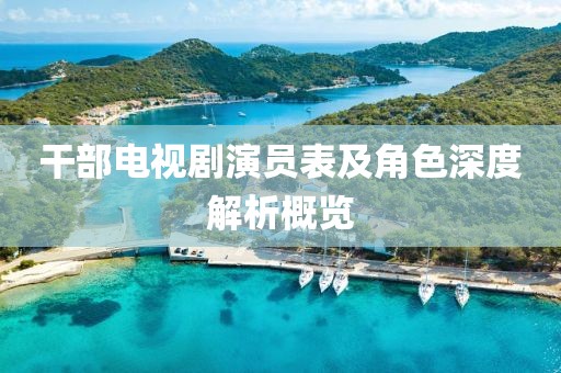 干部电视剧演员表及角色深度解析概览