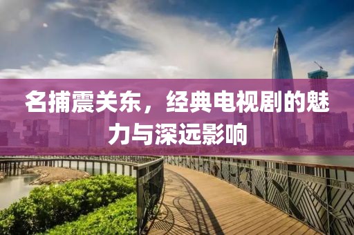 名捕震关东，经典电视剧的魅力与深远影响