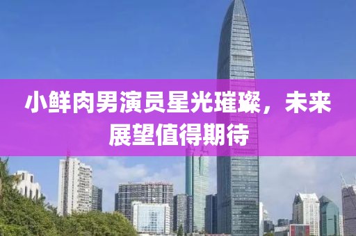 小鲜肉男演员星光璀璨，未来展望值得期待