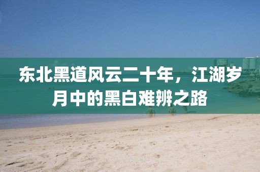 东北黑道风云二十年，江湖岁月中的黑白难辨之路
