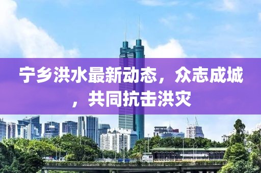 宁乡洪水最新动态，众志成城，共同抗击洪灾
