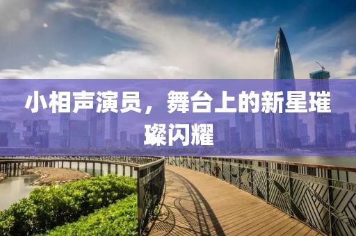 小相声演员，舞台上的新星璀璨闪耀