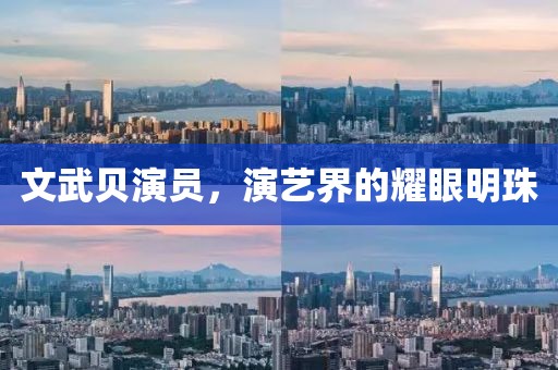 文武贝演员，演艺界的耀眼明珠