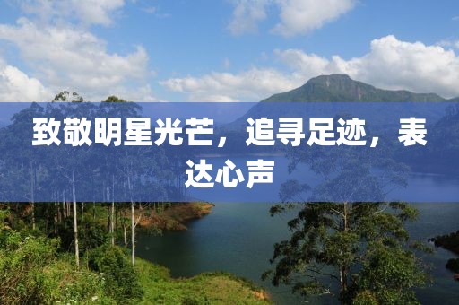致敬明星光芒，追寻足迹，表达心声