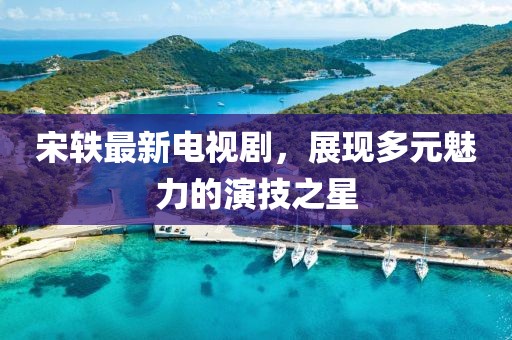 2025年6月3日 第17页