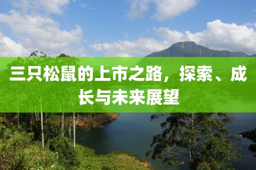 三只松鼠的上市之路，探索、成长与未来展望