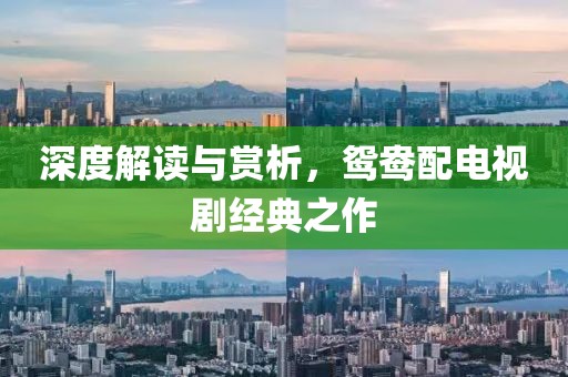 深度解读与赏析，鸳鸯配电视剧经典之作