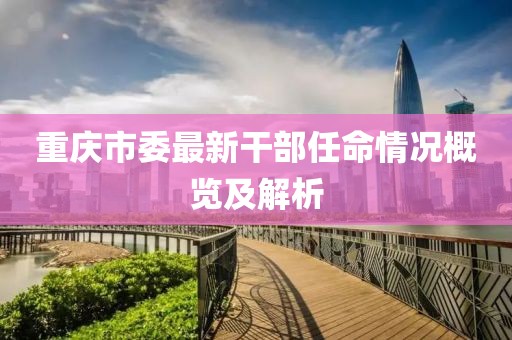 重庆市委最新干部任命情况概览及解析