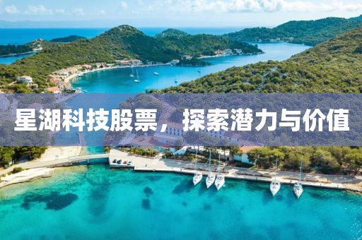 星湖科技股票，探索潜力与价值