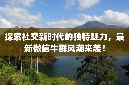 探索社交新时代的独特魅力，最新微信牛群风潮来袭！