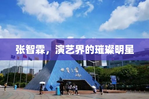 张智霖，演艺界的璀璨明星