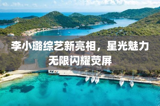 李小璐综艺新亮相，星光魅力无限闪耀荧屏