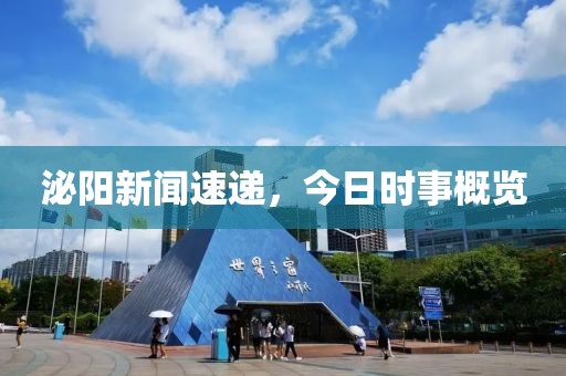 泌阳新闻速递，今日时事概览