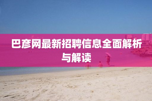 巴彦网最新招聘信息全面解析与解读
