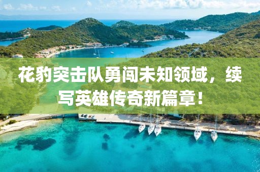 花豹突击队勇闯未知领域，续写英雄传奇新篇章！