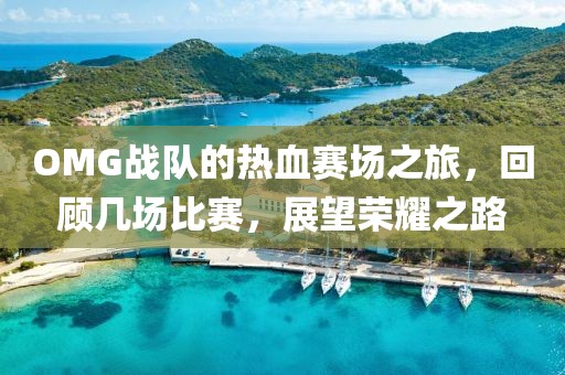 OMG战队的热血赛场之旅，回顾几场比赛，展望荣耀之路