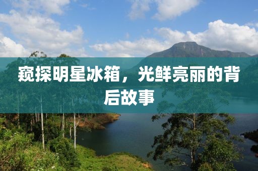 窥探明星冰箱，光鲜亮丽的背后故事