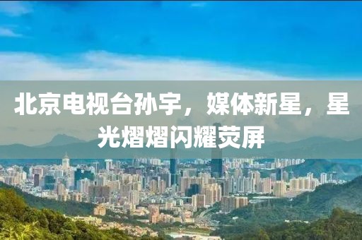 北京电视台孙宇，媒体新星，星光熠熠闪耀荧屏
