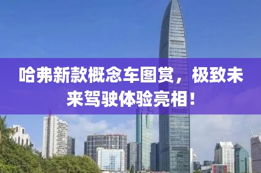 哈弗新款概念车图赏，极致未来驾驶体验亮相！