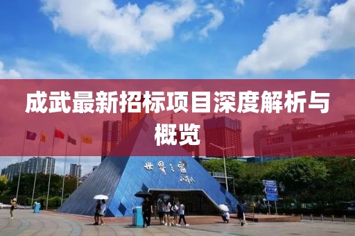 成武最新招标项目深度解析与概览
