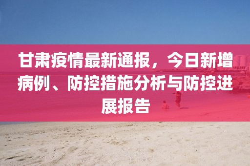 甘肃疫情最新通报，今日新增病例、防控措施分析与防控进展报告