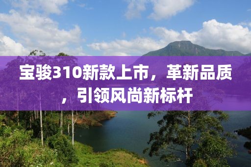 宝骏310新款上市，革新品质，引领风尚新标杆