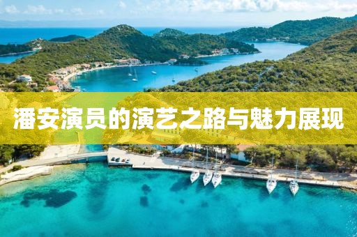 潘安演员的演艺之路与魅力展现