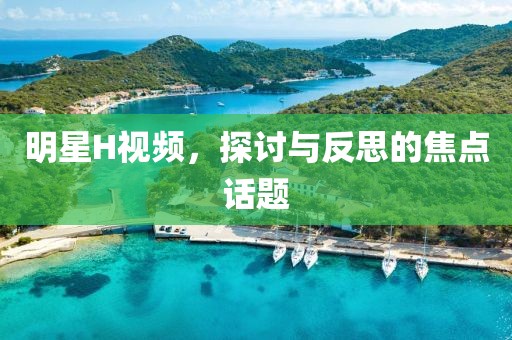 明星H视频，探讨与反思的焦点话题