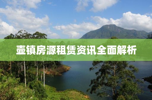 斯人独醉 第15页