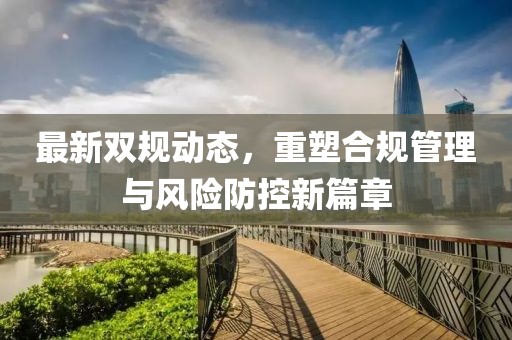 最新双规动态，重塑合规管理与风险防控新篇章