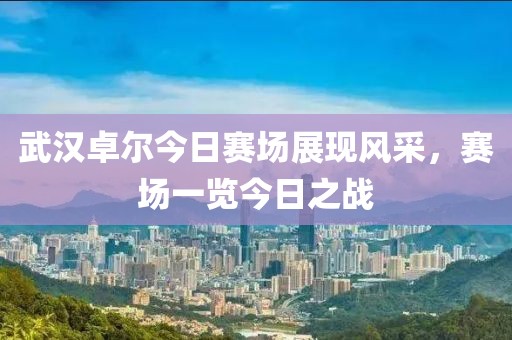 武汉卓尔今日赛场展现风采，赛场一览今日之战