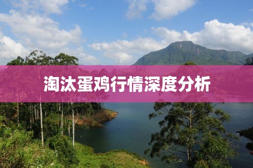 淘汰蛋鸡行情深度分析