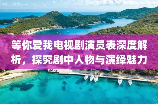 等你爱我电视剧演员表深度解析，探究剧中人物与演绎魅力