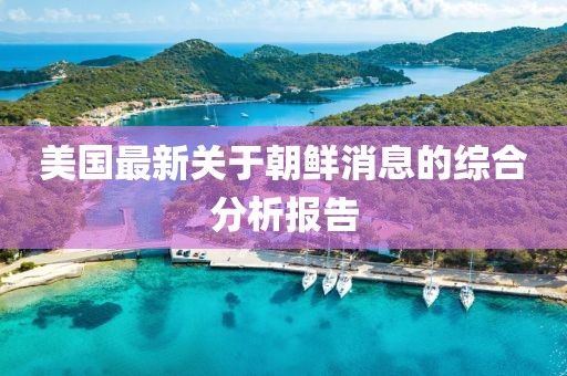 美国最新关于朝鲜消息的综合分析报告