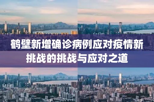 鹤壁新增确诊病例应对疫情新挑战的挑战与应对之道