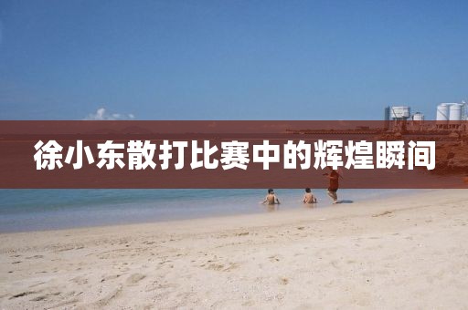徐小东散打比赛中的辉煌瞬间
