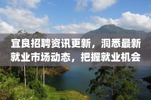 宜良招聘资讯更新，洞悉最新就业市场动态，把握就业机会